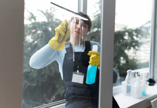 Nettoyage de vitres intérieures et extérieures à Saint-Seine-l'Abbaye